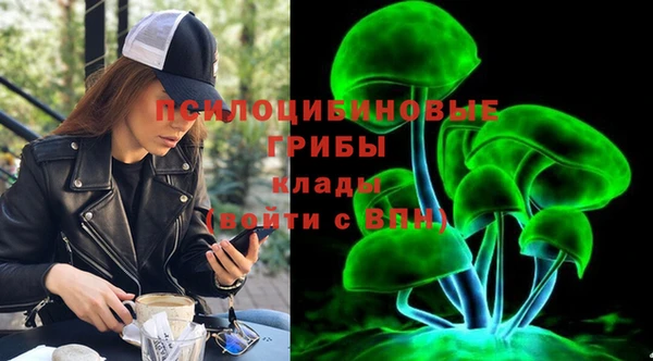 гидропоника Армянск