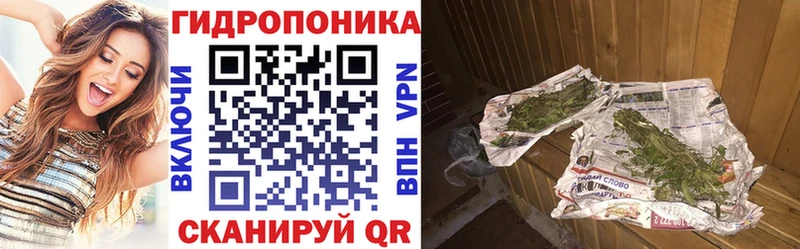 Канабис планчик  Гдов 